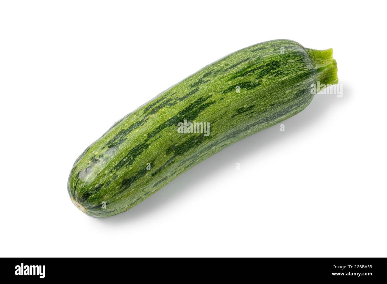 Einzelne frische roh grün gefleckte Zucchini aus der Nähe isoliert auf weißem Hintergrund Stockfoto