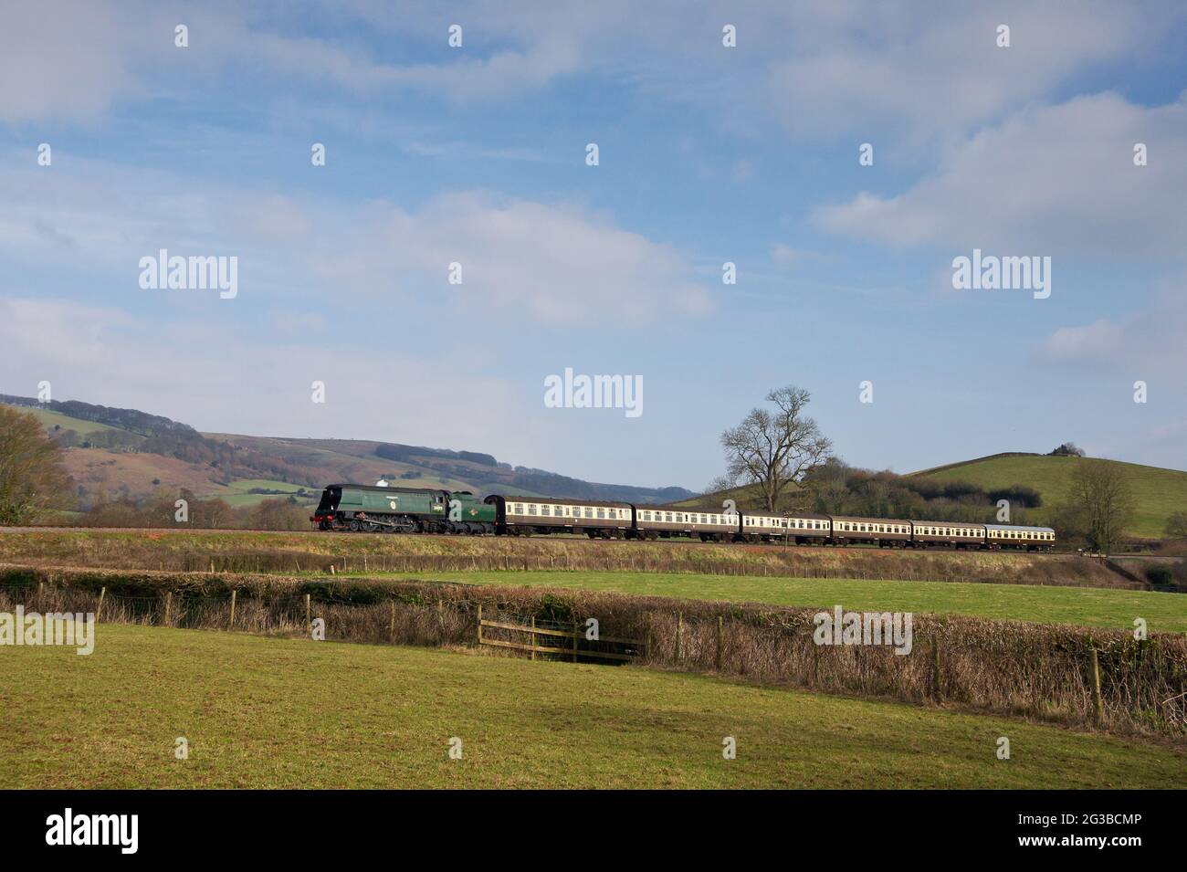 34070 Manston führt während der Frühjahrsdampfgala zur Erinnerung an die Somerset & Dorset Railway an den Quantock Hills vorbei Stockfoto