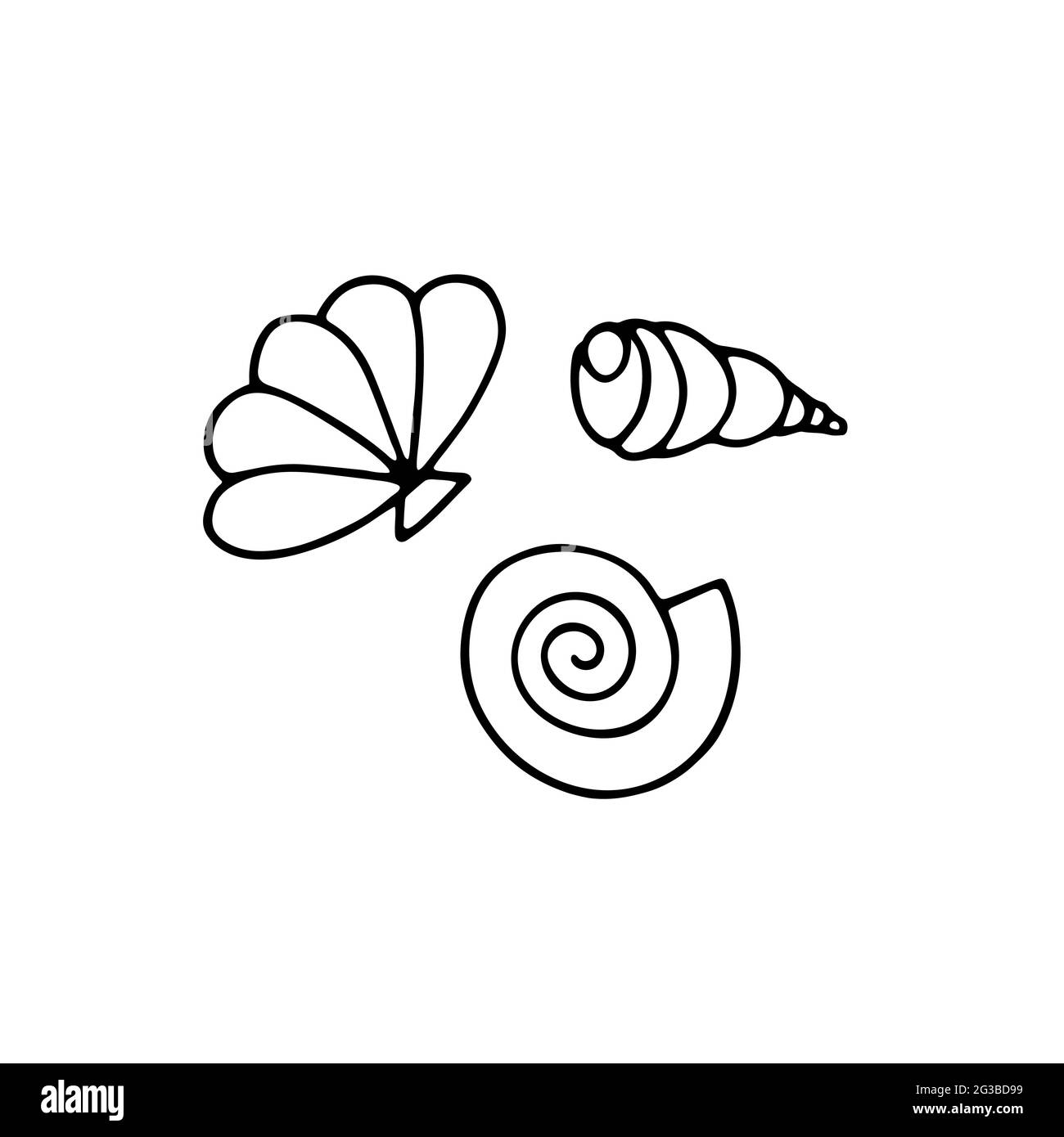 Muscheln Vektor Sommer Set. Schwarze Umrisse von Meeresschnecken isoliert auf weißem Hintergrund. Bild „Doodle Shells“. Stilisierte Meeresbewohner. Handgezeichneter Bestand Stock Vektor