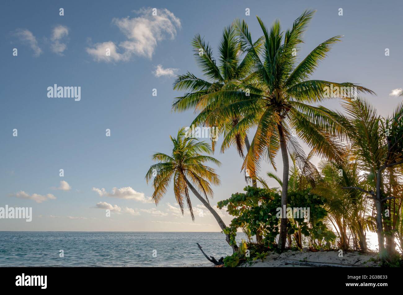Typische polynesische Landschaft Stockfoto