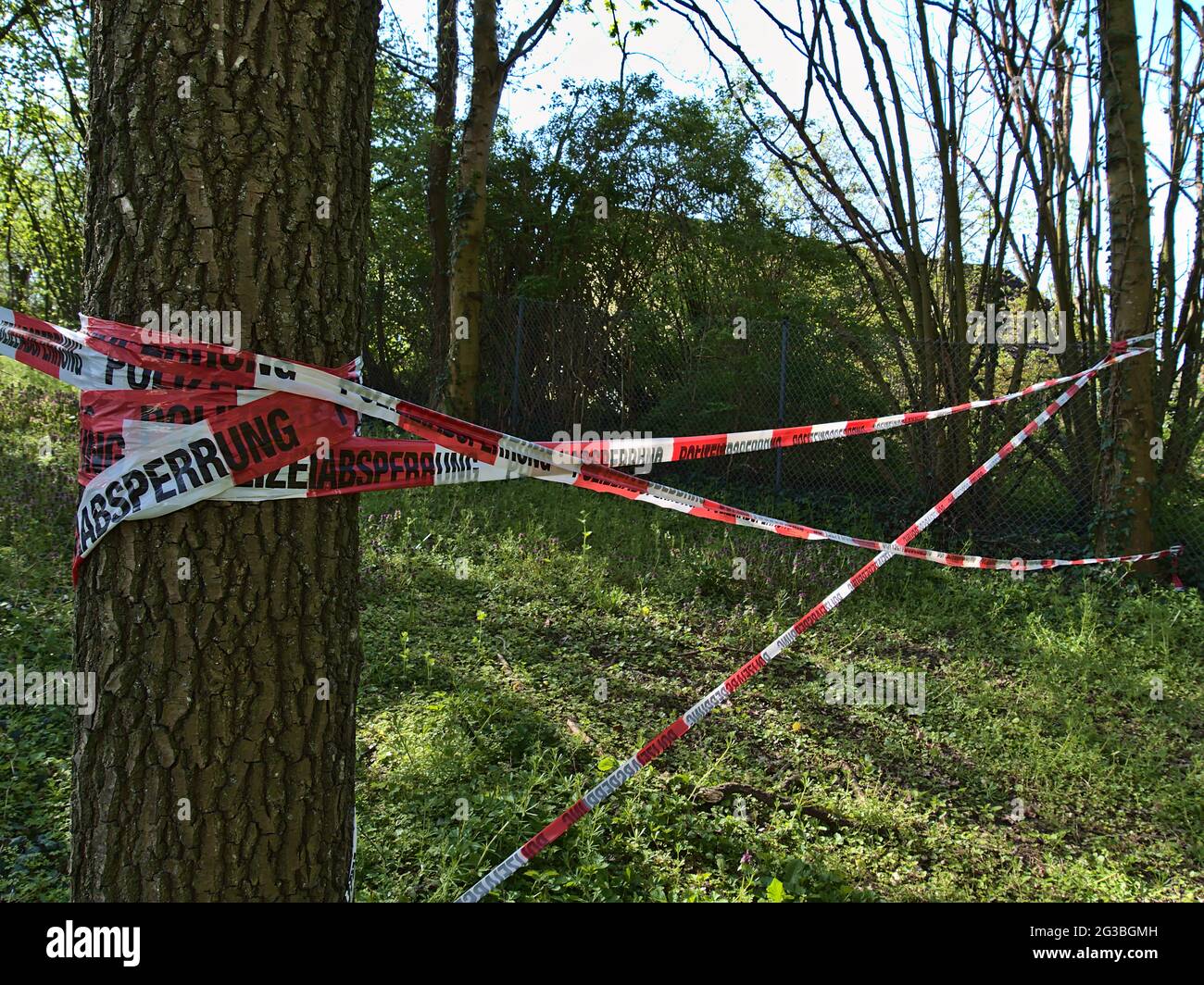 Zwischen zwei Baumstämmen im Grünen in der Nähe der Stadt Karlsruhe, Baden-Württemberg, Deutschland, überspanntes Polizeisperrband mit roten und weißen Streifen. Stockfoto