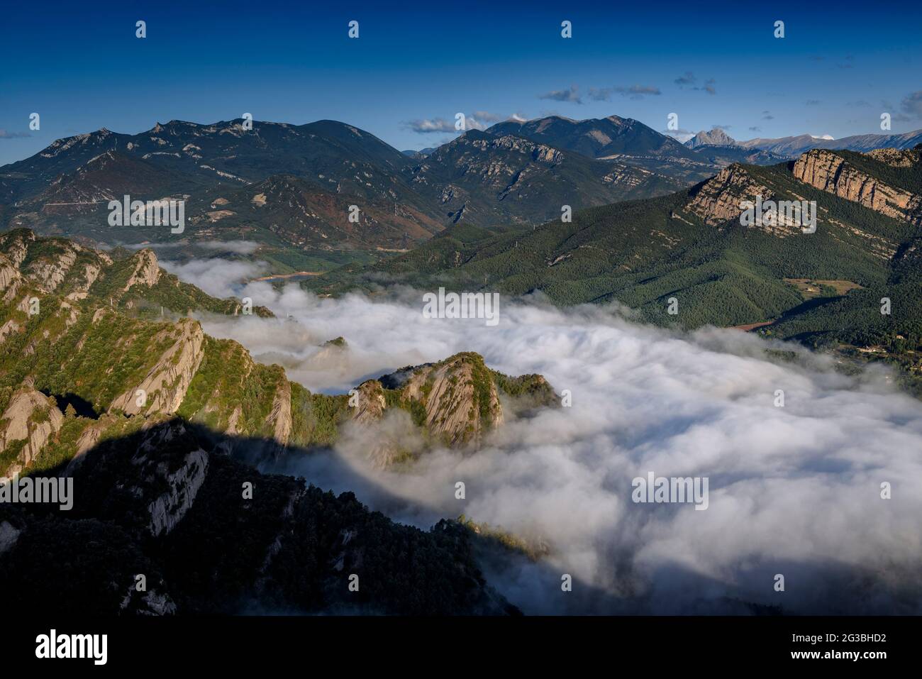 Das Gebirge Alt Berguedà (in den Pyrenäen) bei Sonnenaufgang vom Gipfel der Salga Aguda in der Serra de Picancel, mit Nebel im Vilada-Tal (Spanien) Stockfoto