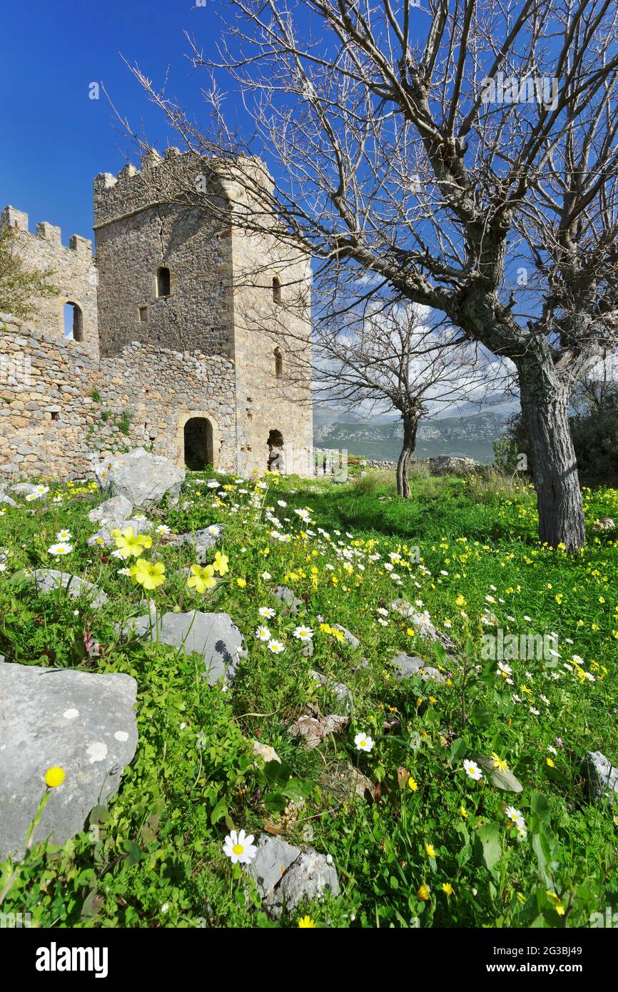 Schloss Zanata mit Frühlingsblumen in der Nähe des Dorfes Stavropigio in Messinias in Griechenland Stockfoto