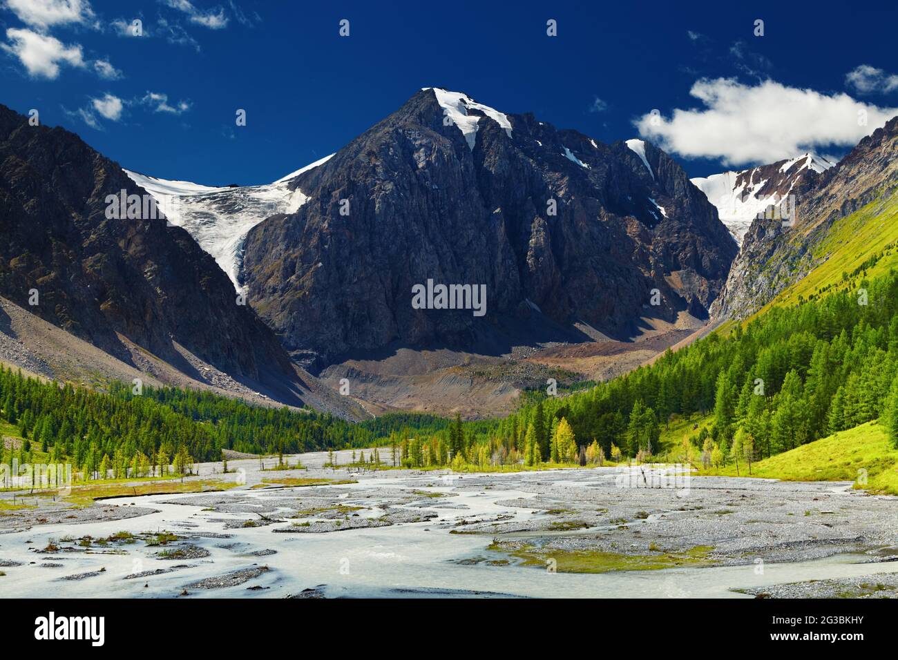 Bergtal mit Fluss und grünen Wald, Altai-Berge, Russland Stockfoto
