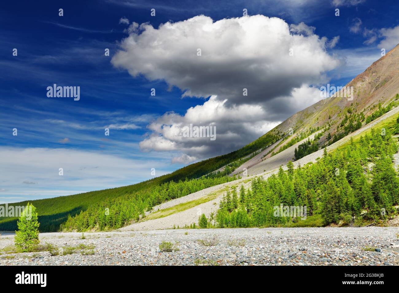 Berglandschaft mit Wald und blauer Himmel Stockfoto