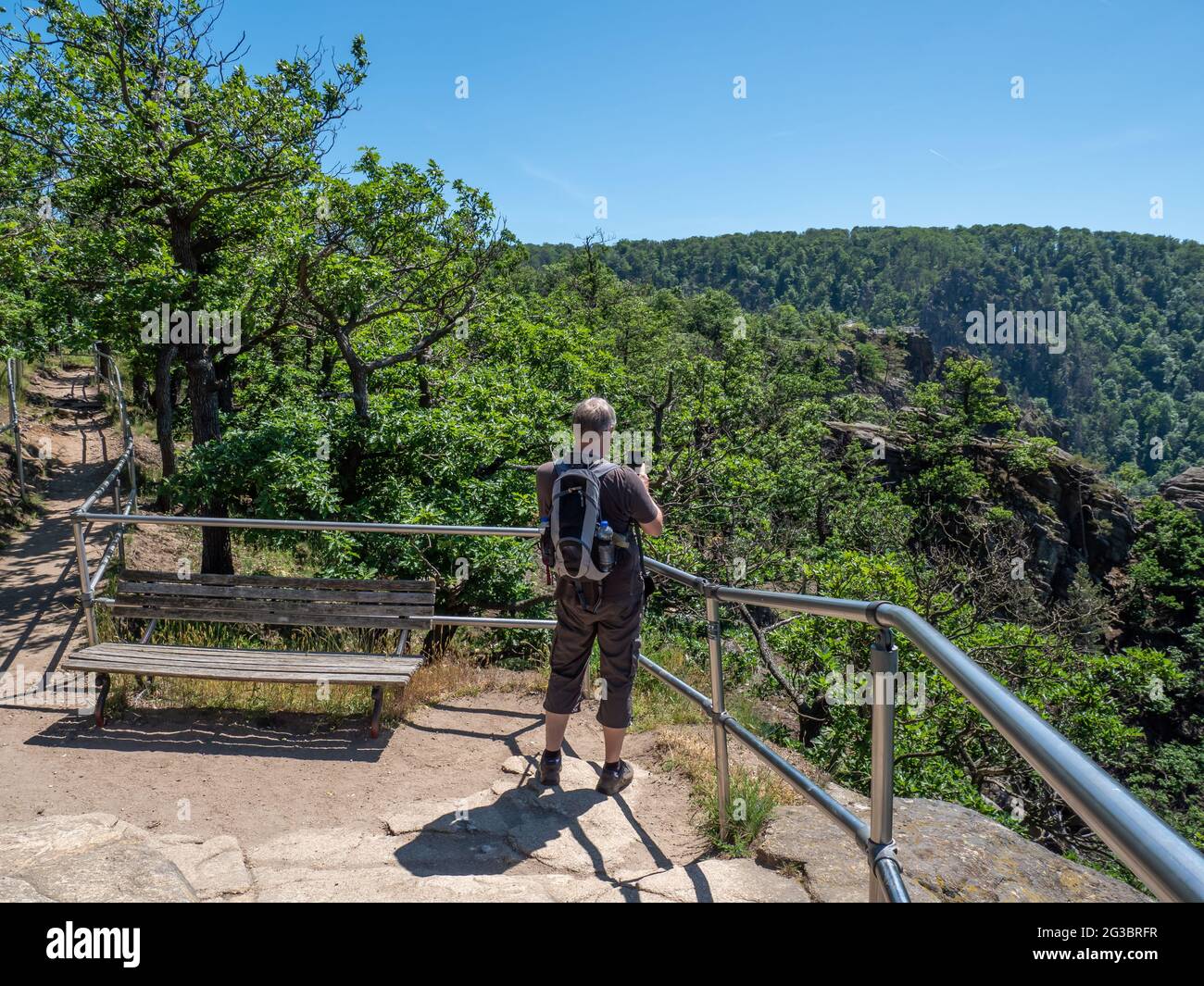Wandern im Nationalpark Harz in Deutschland Stockfoto