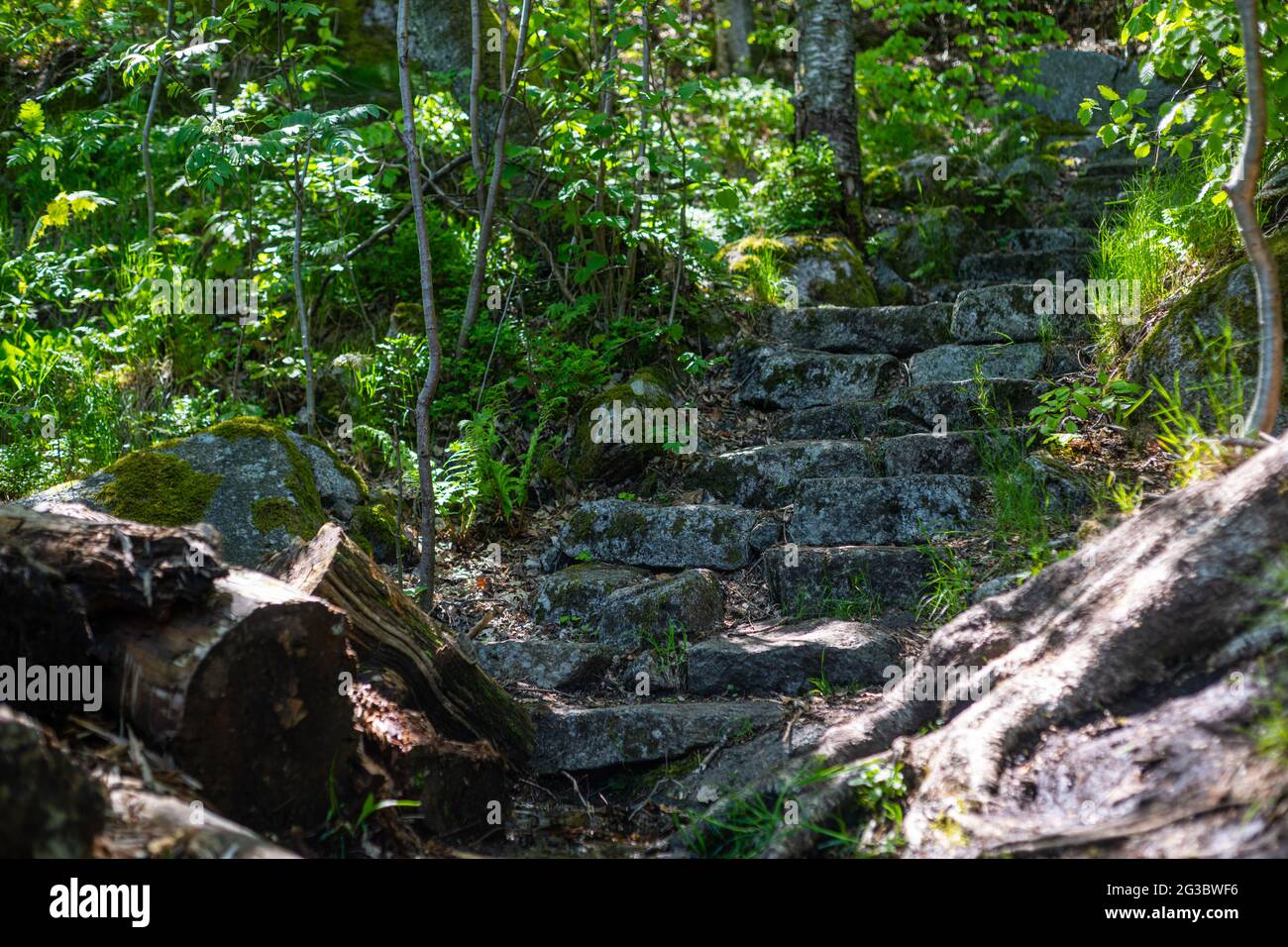 Norwegische Wanderwege, die von wunderschönen Steinen und Wanderwegen gekennzeichnet sind Stockfoto