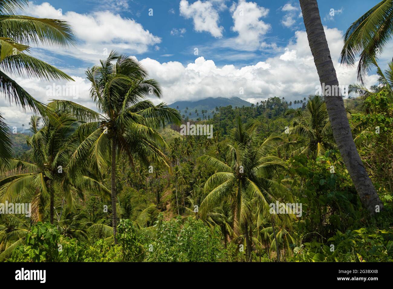 Klabat Vulkan, versteckt von Wolken, im Hintergrund einer tropischen Landschaft aus Palmen und grünen Bäumen, North Minahasa, Sulawesi, Indonesien Stockfoto