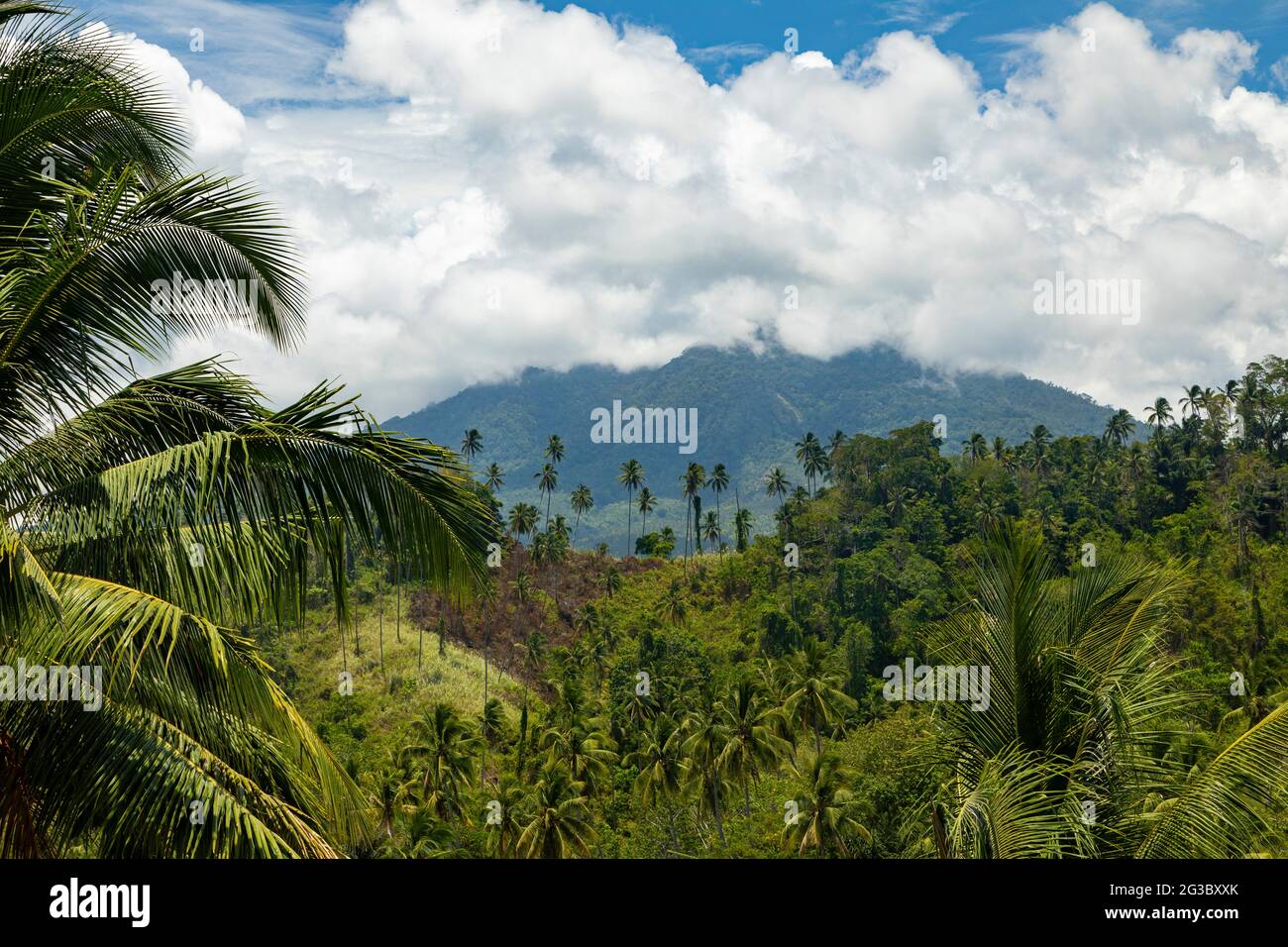 Klabat Vulkan, versteckt von Wolken, im Hintergrund einer tropischen Landschaft aus Palmen und grünen Bäumen, North Minahasa, Sulawesi, Indonesien Stockfoto