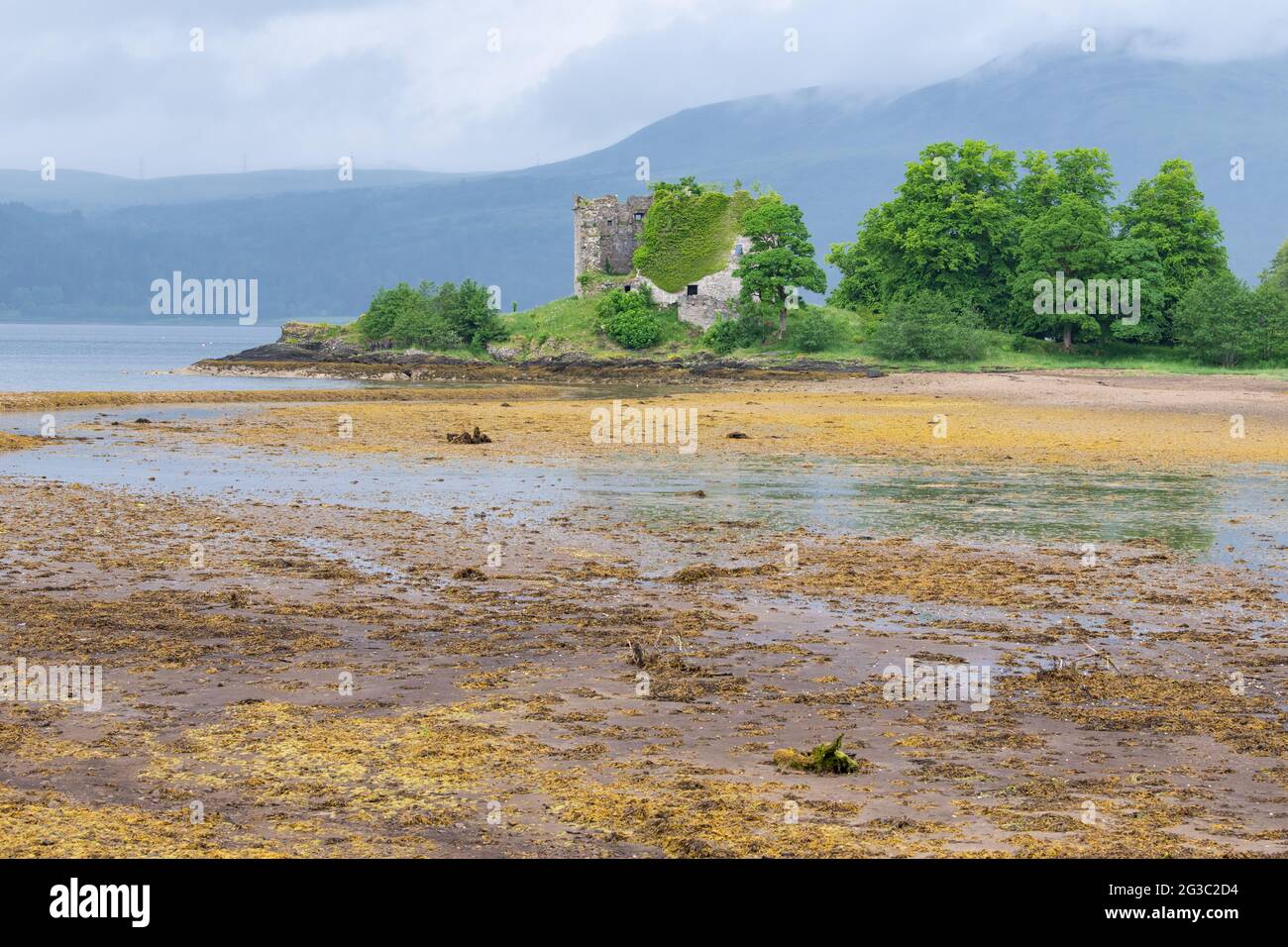 Old Castle Lachlan mit Blick auf Loch Fyne bei Ebbe, Strachur, Strathlachlan, Argyll und Bute, Schottland, VEREINIGTES KÖNIGREICH Stockfoto