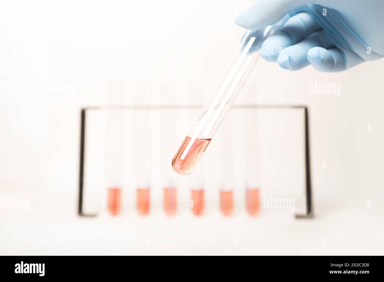 Reagenzgläser in einem Rack. Grafische Darstellung für ein Balkendiagramm, Statistiken, Daten für Wissenschaft, Medizin, Biologie, Biomedizinisches Labor. Stockfoto