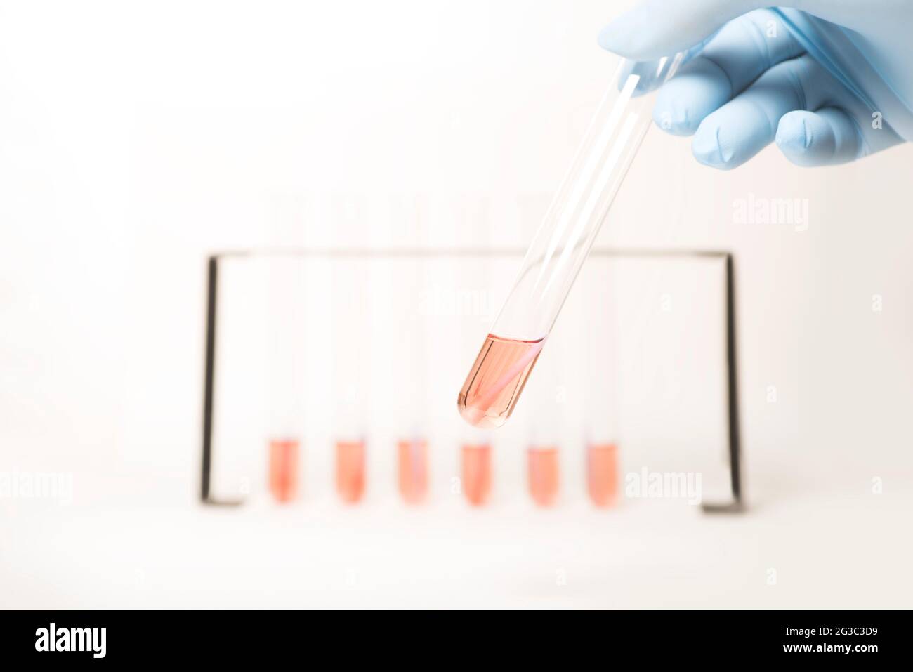 Reagenzgläser in einem Rack. Grafische Darstellung für ein Balkendiagramm, Statistiken, Daten für Wissenschaft, Medizin, Biologie, Biomedizinisches Labor. Stockfoto
