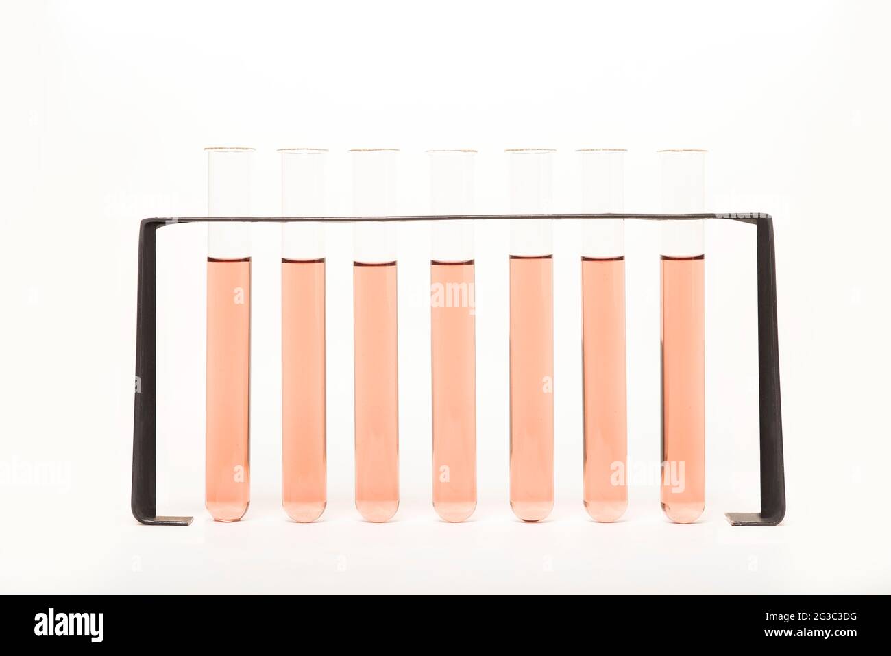 Reagenzgläser in einem Rack. Grafische Darstellung für ein Balkendiagramm, Statistiken, Daten für Wissenschaft, Medizin, Biologie, Biomedizinisches Labor. Stockfoto