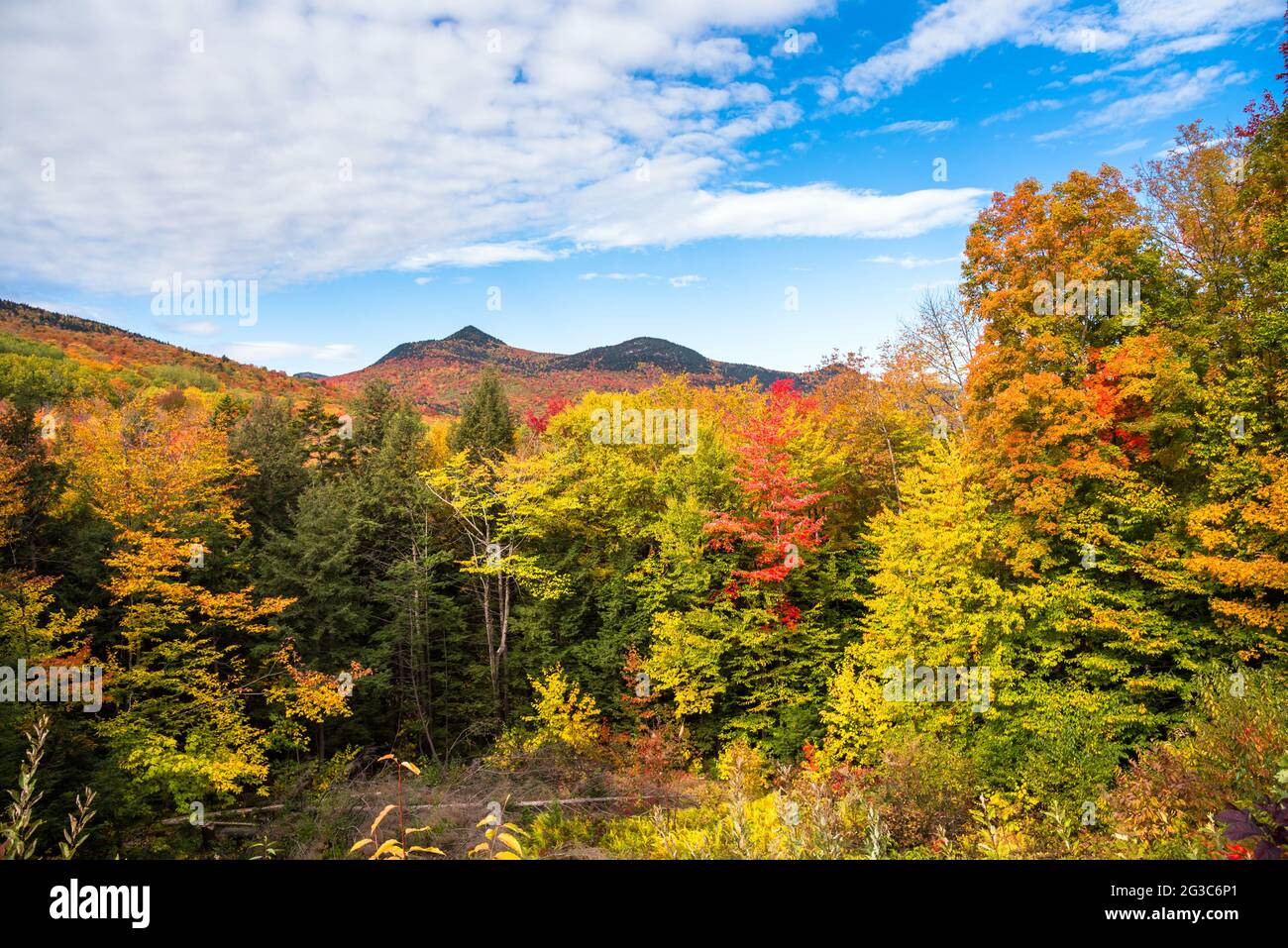 Wunderschöner Bergwald auf dem Gipfel des Herbstlaubes unter blauem Himmel mit Wolken Stockfoto