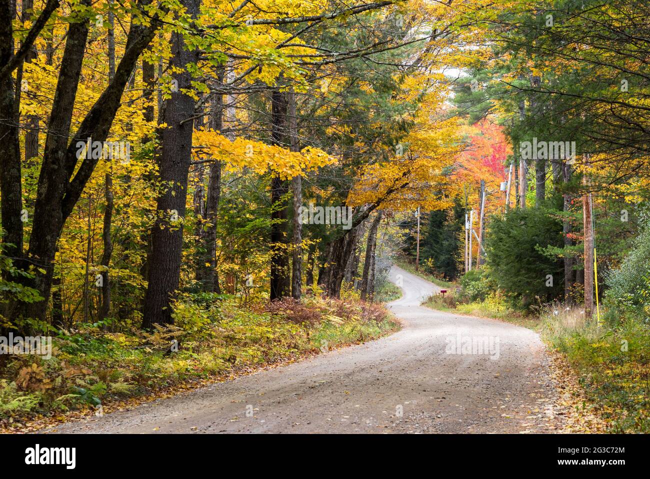 Verlassene, kurvenreiche Waldstraße in den Bergen im Herbst. Wunderschönes Herbstlaub. Stockfoto
