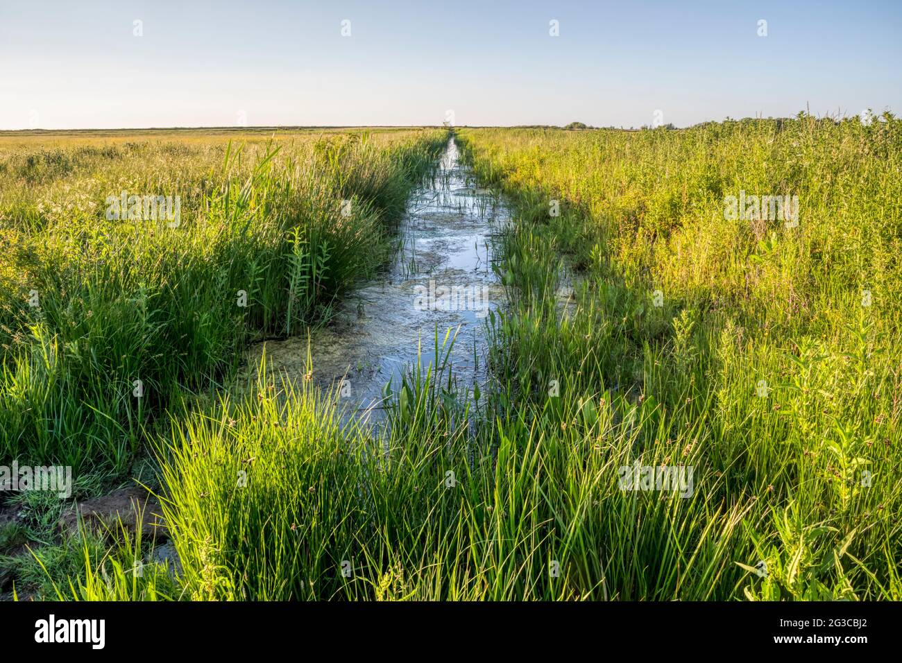 Drainage-Kanal auf Süßwasser-Sumpf hinter östlichen Ufer des Wash. Stockfoto