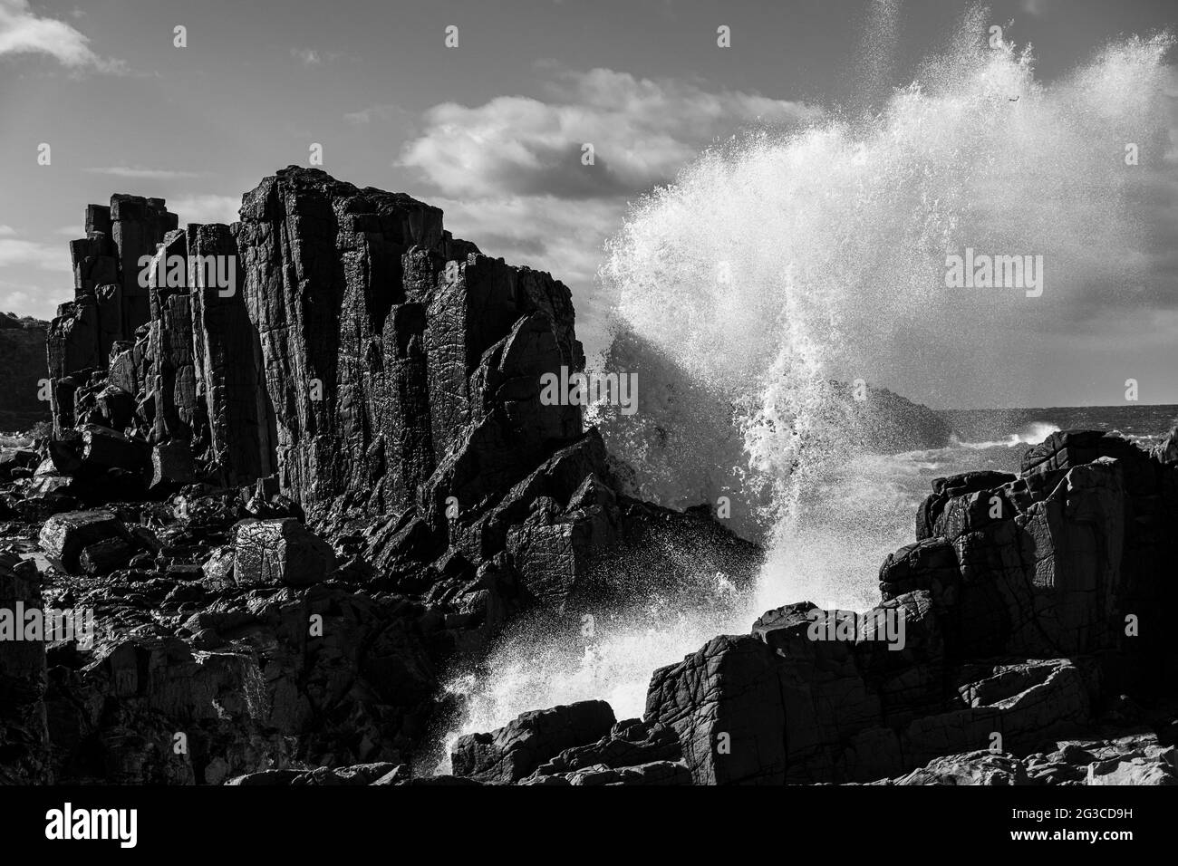 Atemberaubende Aussicht auf die wunderschöne Felsformation in Bombo Headland Quarry Geological Site, Australien Stockfoto