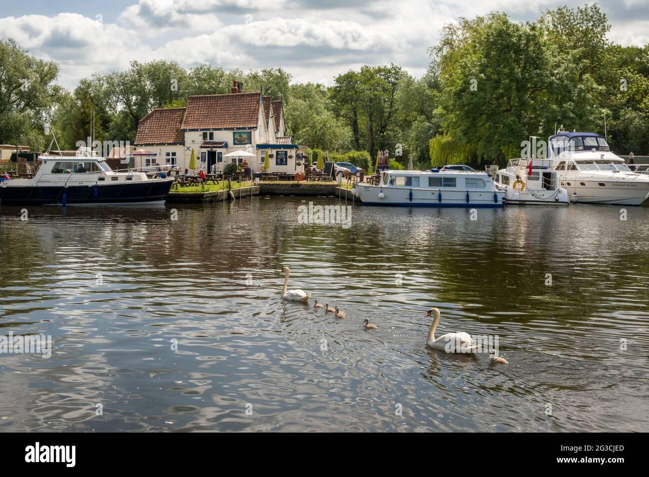 The Ferry House, Surlingham, Norfolk, Großbritannien. Ein Pub am Fluss Yare an den Norfolk Broads. Stockfoto