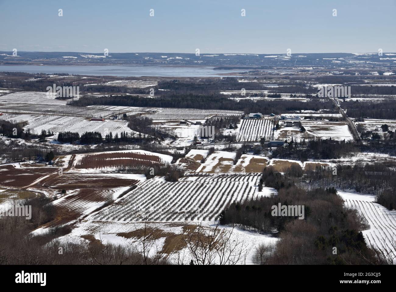 Der Look Off ist ein beliebter Aussichtort für das Minas Basin. Weinberge und Obstgärten sind im Winter immer noch schön zu sehen. Stockfoto