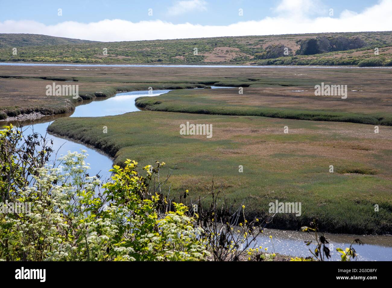 Drakes Estero ist eine ausgedehnte Mündung in der Point Reyes National Seashore von Marin County an der Pazifikküste von Nordkalifornien im Vereinigten Süden Stockfoto