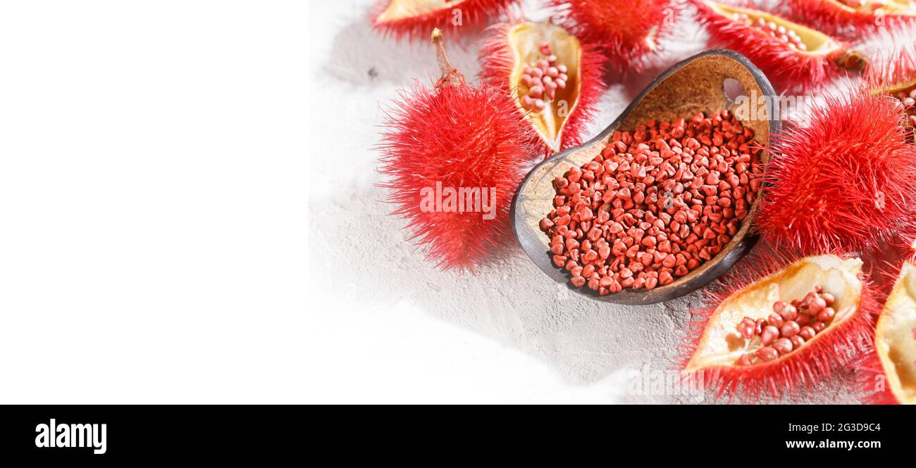 Annatto Samen, Ono, Annatto, Bixa orellana, natürliches rotes Pigment Stockfoto