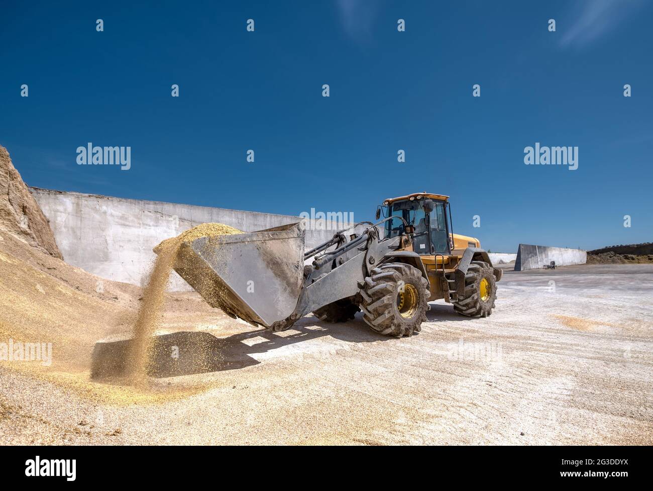Ein Radlader trägt einen vollen Eimer mit Tierfutter. Stockfoto