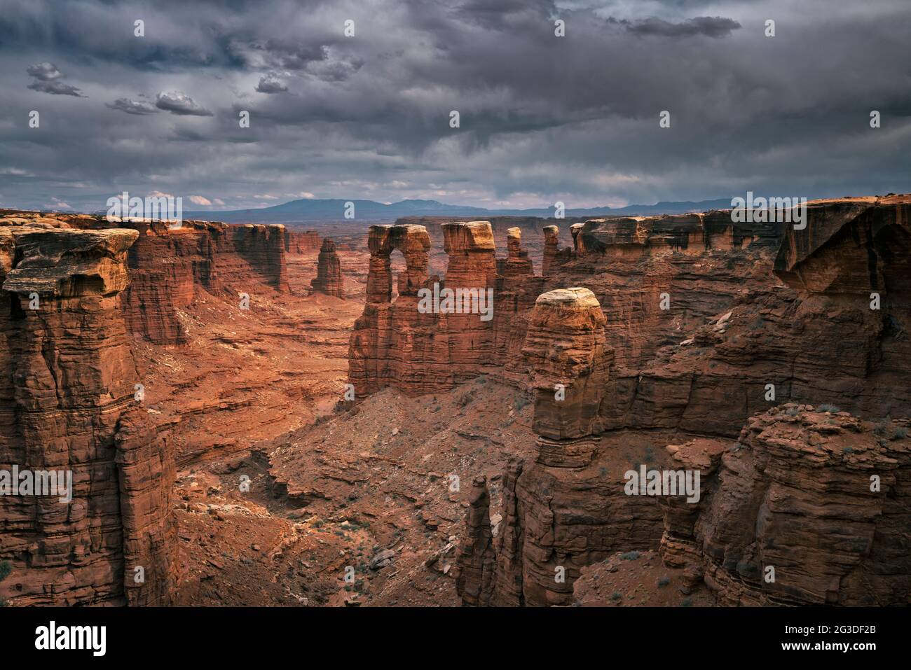 Über den hoch aufragenden Monolithen aus Sandstein im Monument Basin an der abgelegenen White Rim Road im Canyonlands National in Utah baut sich ein Gewitter am Abend auf Stockfoto