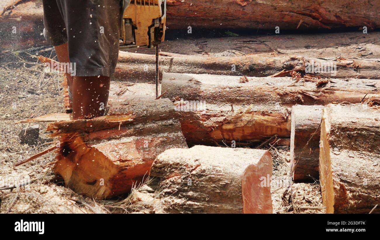 Der Mann, der Holz mit der Kettensäge schneidet, den Baum des Holzarbeiters schneidet, ein Holzfäller, der einen Baumstamm in einem Stapel von Baumstämmen sägt, spritzt Sägemehl Stockfoto
