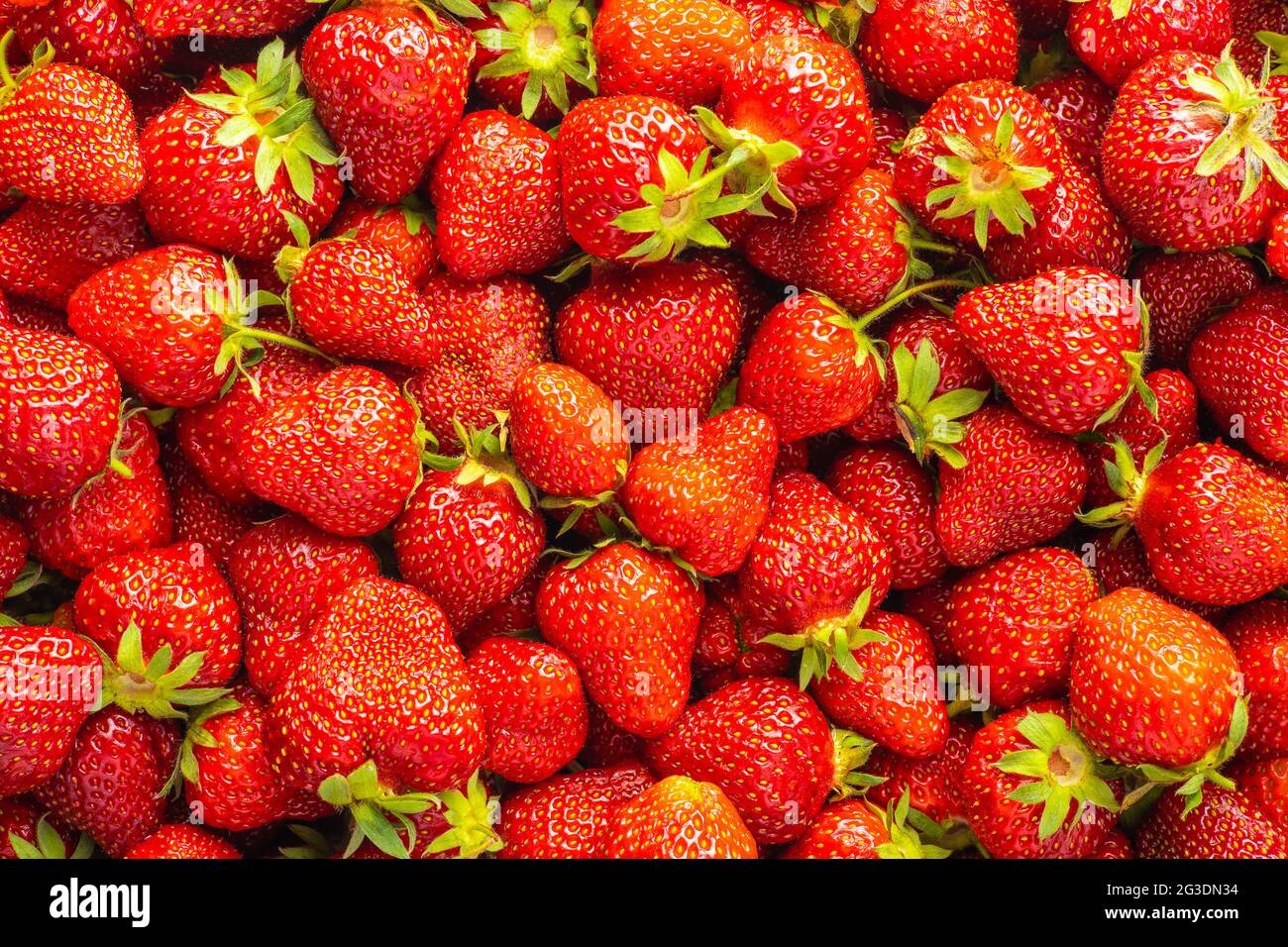 Ganze reife rote Erdbeeren. Draufsicht. Stockfoto