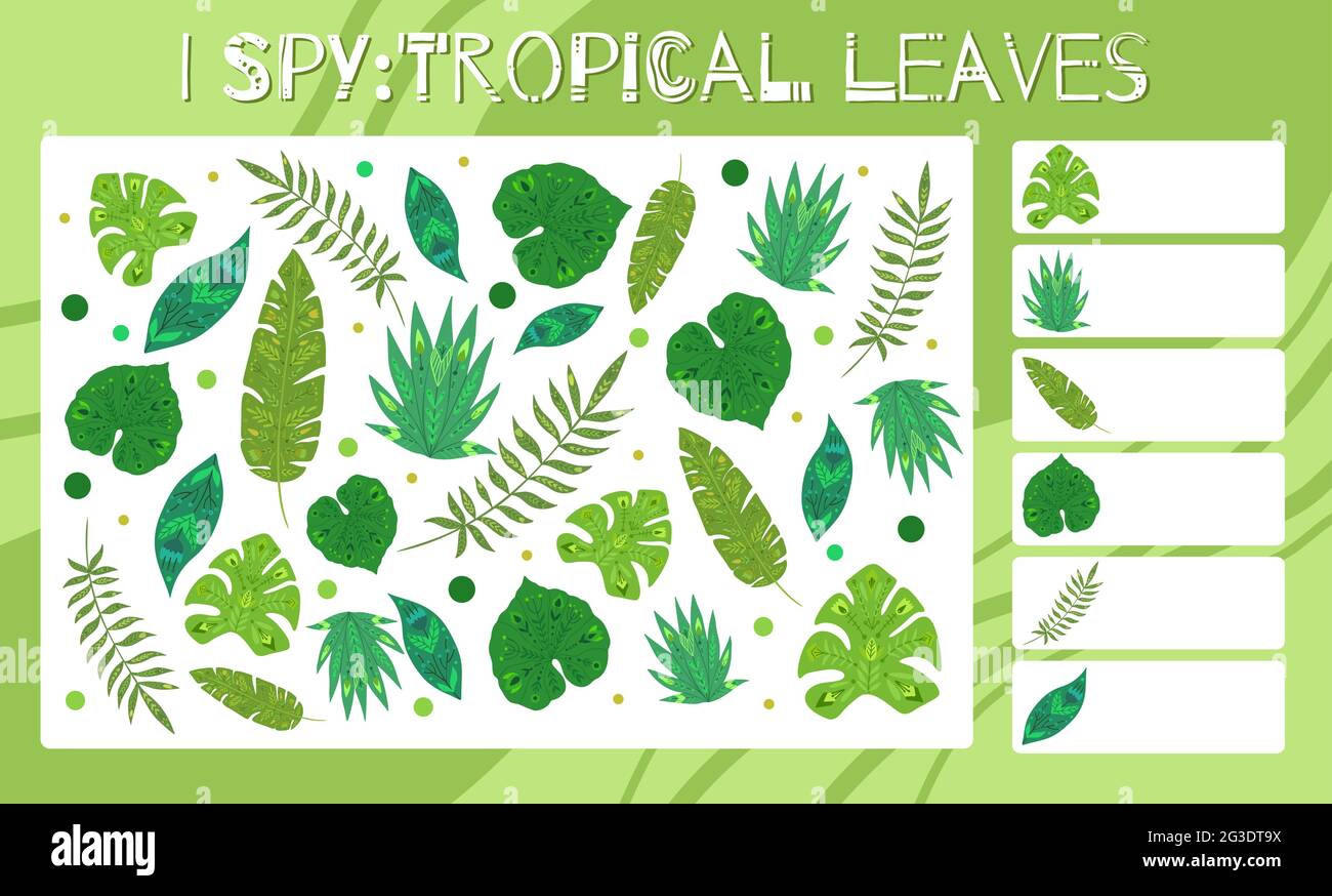 Ich spioniere Spiel. Pädagogischer Spaß für Kinder. Zählen Sie, wie viele Naturelemente. Flache, handgezeichnete tropische Blätter mit volkstümlichen Ornamenten. Vektor Dschungel Vorlage wor Stock Vektor
