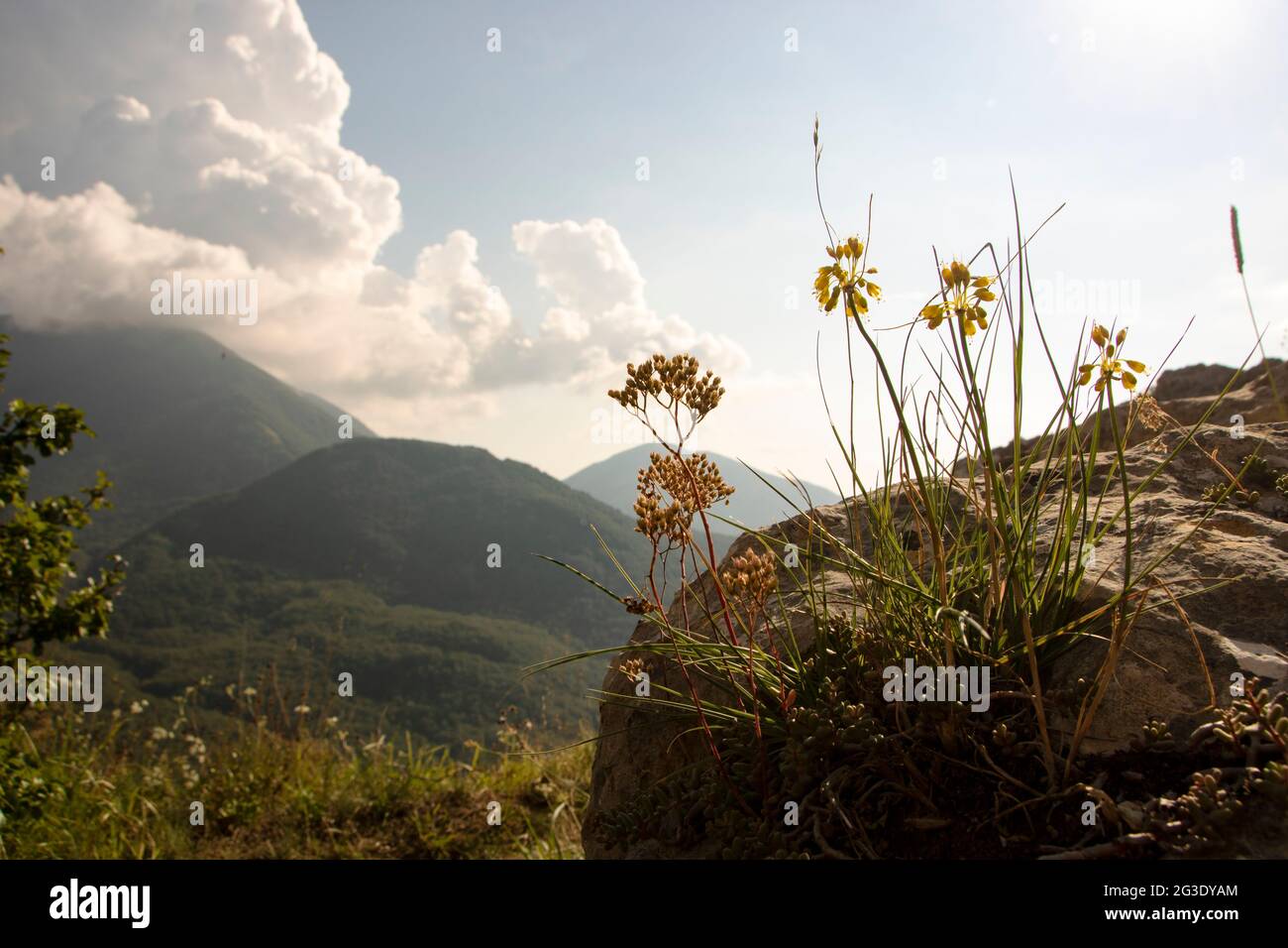 In San Severino Lucano - Italien - am 2020. august - Landschaft von Pollino Nationalpark, ein weites Naturschutzgebiet in Basilicata und Kalabrien, italienische Re Stockfoto