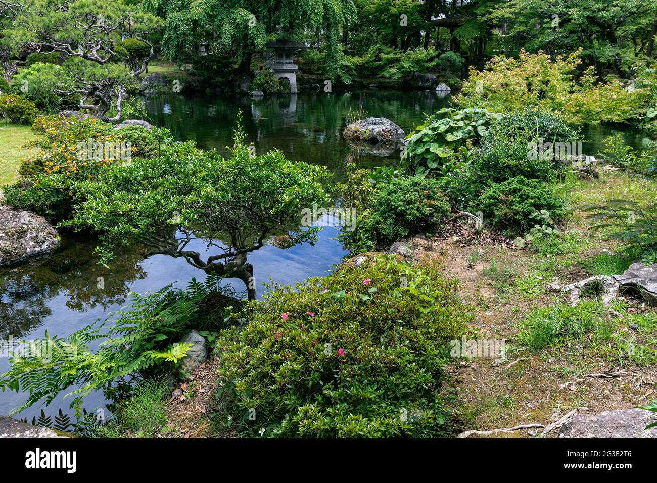 Ryusenen Garden, das ein japanisches Haus mit sorgfältig ausgewählten Materialien umgibt, steht in einem Spaziergarten, der die Vorteile der natürlichen nutzt Stockfoto