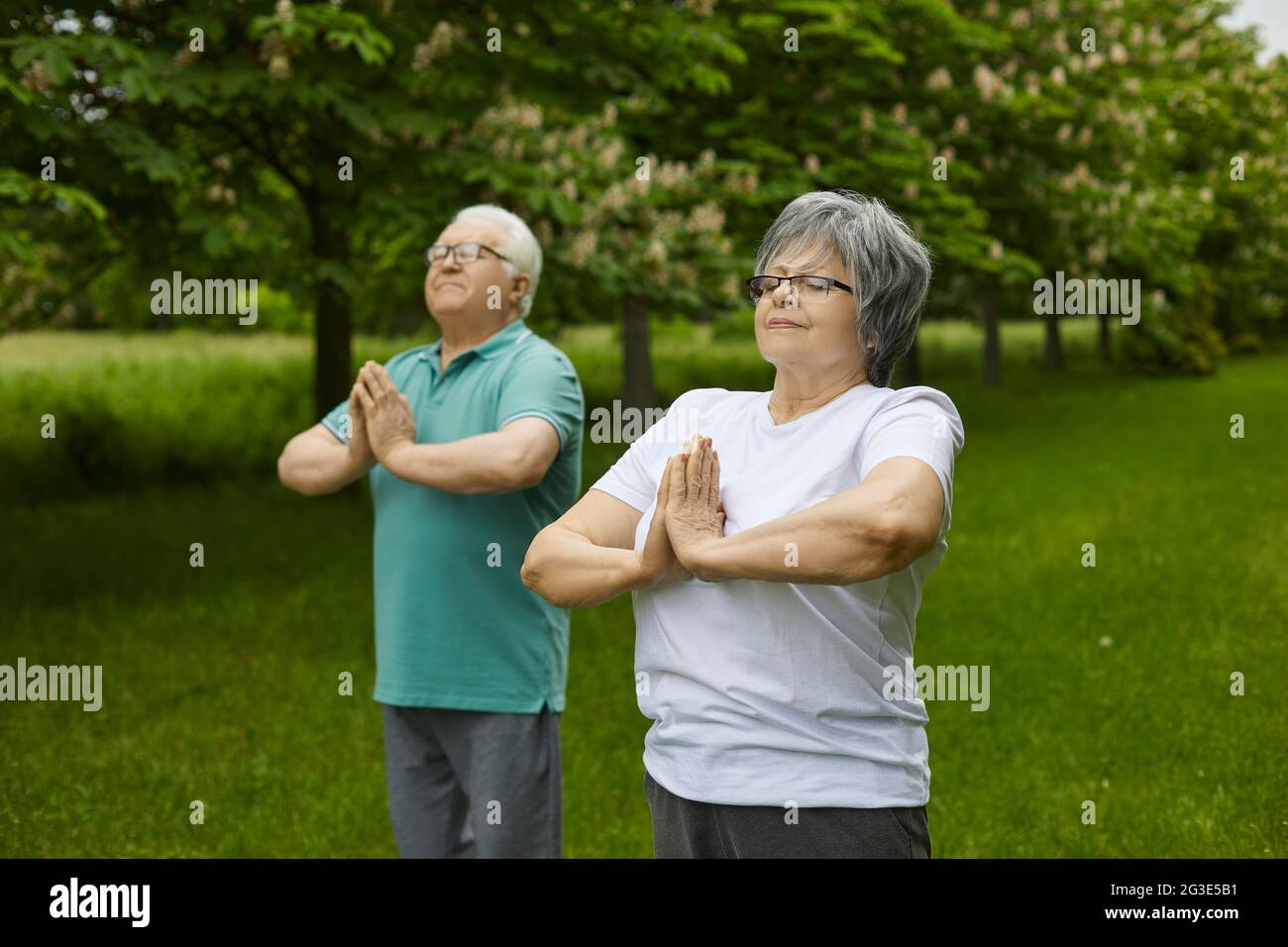 Glückliches Seniorenpaar, das sich entspannt, während es in einem grünen Sommerpark Yoga praktiziert Stockfoto