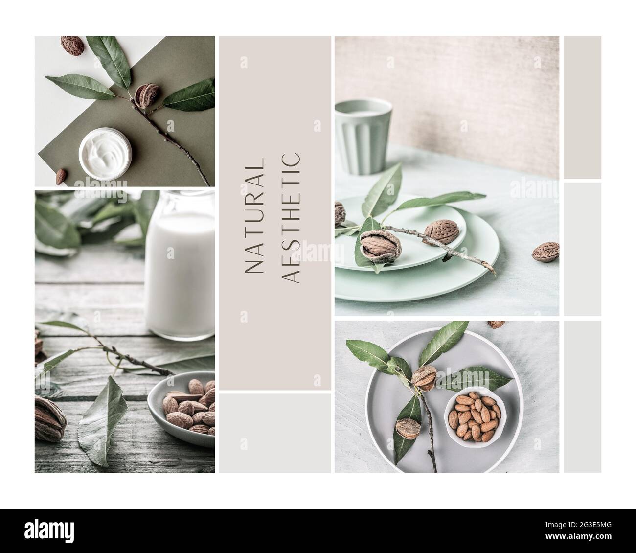 Gesichtscreme und Milch aus Mandel. Graues, sauberes Design mit Moodboard. Foto Collage mit Text - natürliche Ästhetik. Natürliche Gesundheit und Schönheit. Stockfoto