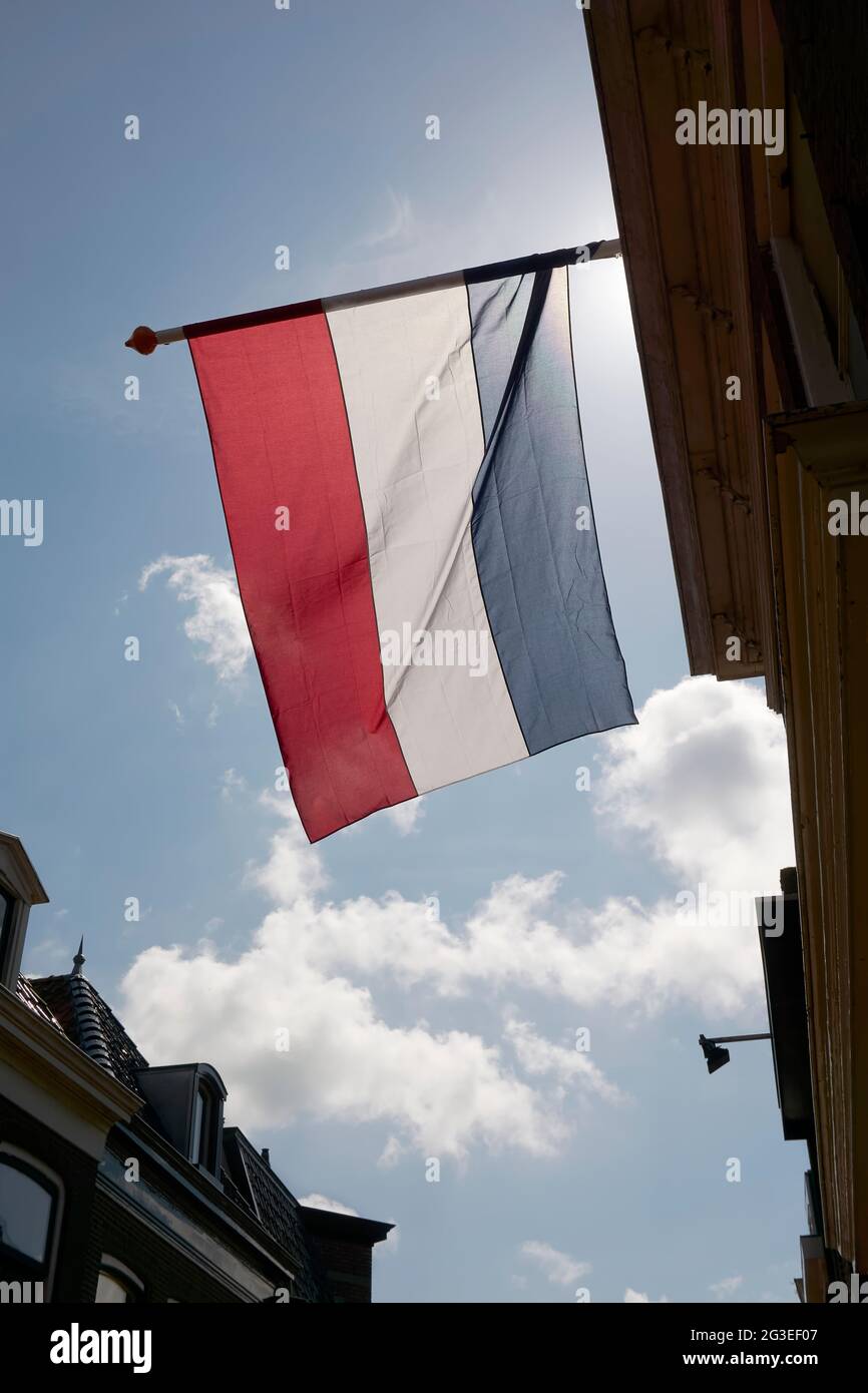 Niederländische Flagge winkt im Wind gegen einen blauen Himmel mit weißen Wolken um den Königstag in den Niederlanden. Ein nationaler Feiertag. Stockfoto