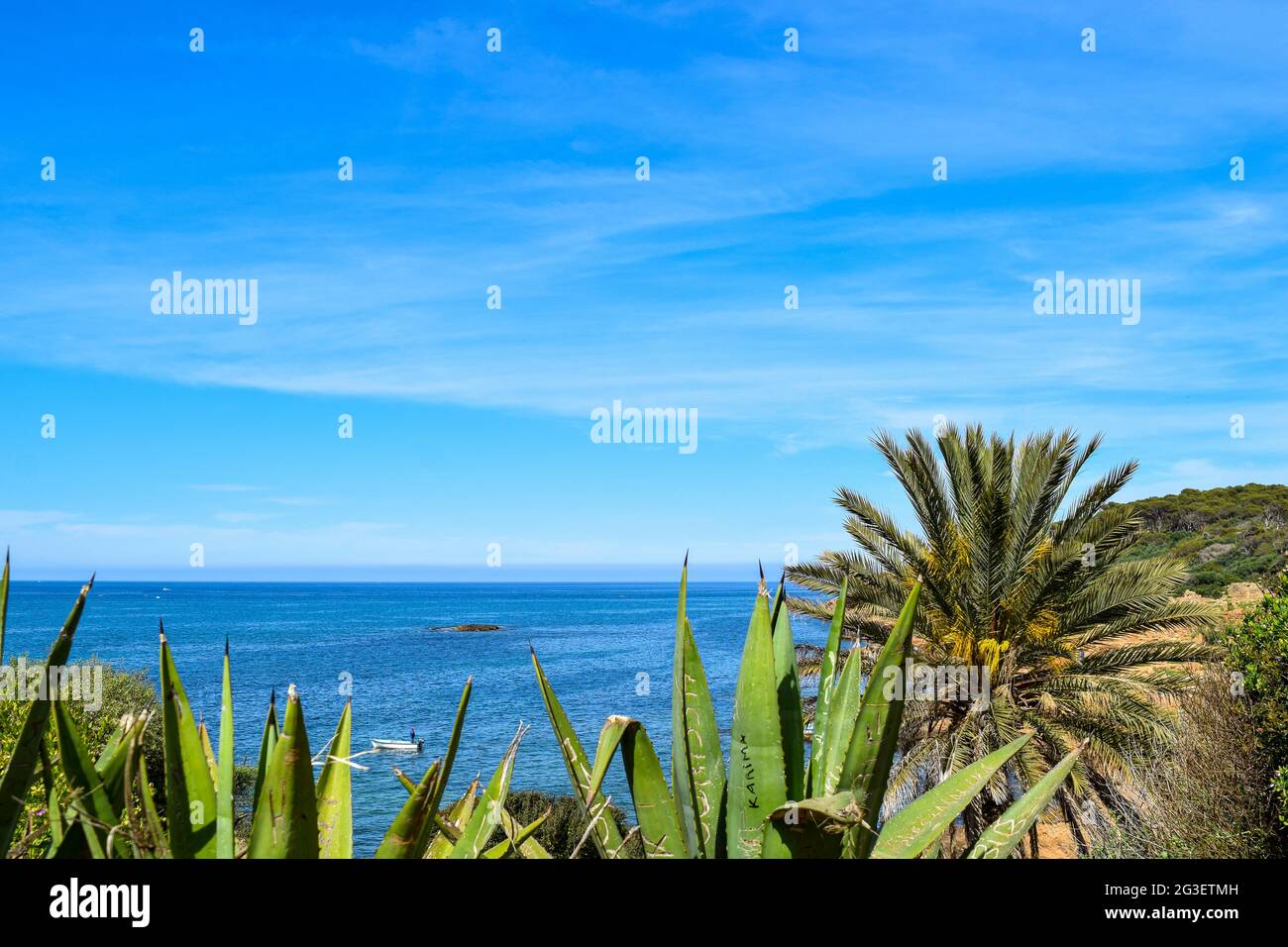 Schöner Blick auf das blaue Mittelmeer durch Aloe Vera Pflanze und Palmen, Urlaubskonzept, Tipaza, Algerien. Stockfoto