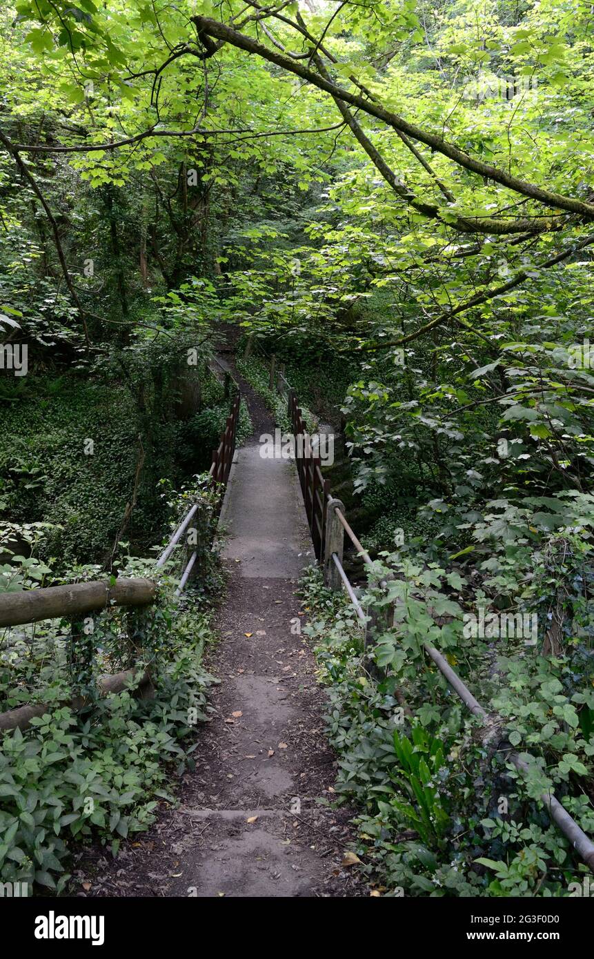 Alte rustikale Brücke über den Clydach River auf einem Waldspaziergang Clydach Gorge Brecon Beacons National Park Monmouthshire Wales Großbritannien Stockfoto