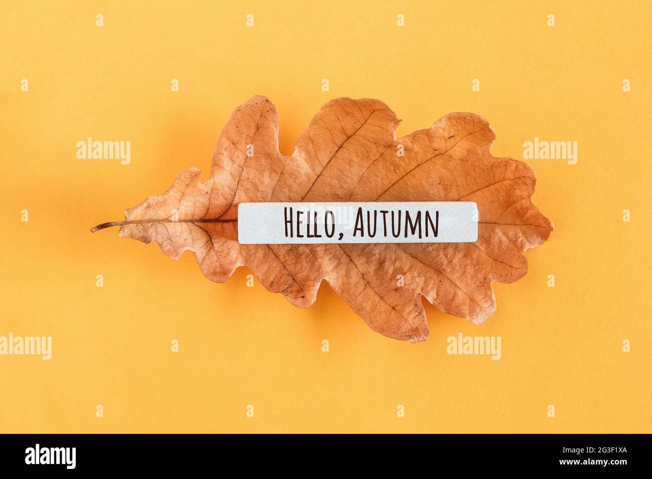 Hallo Herbsttext und Eichenblatt auf gelbem Hintergrund. Draufsicht Flat Lay Minimal Style. Konzept Willkommen Herbst. Grußkarte. Stockfoto