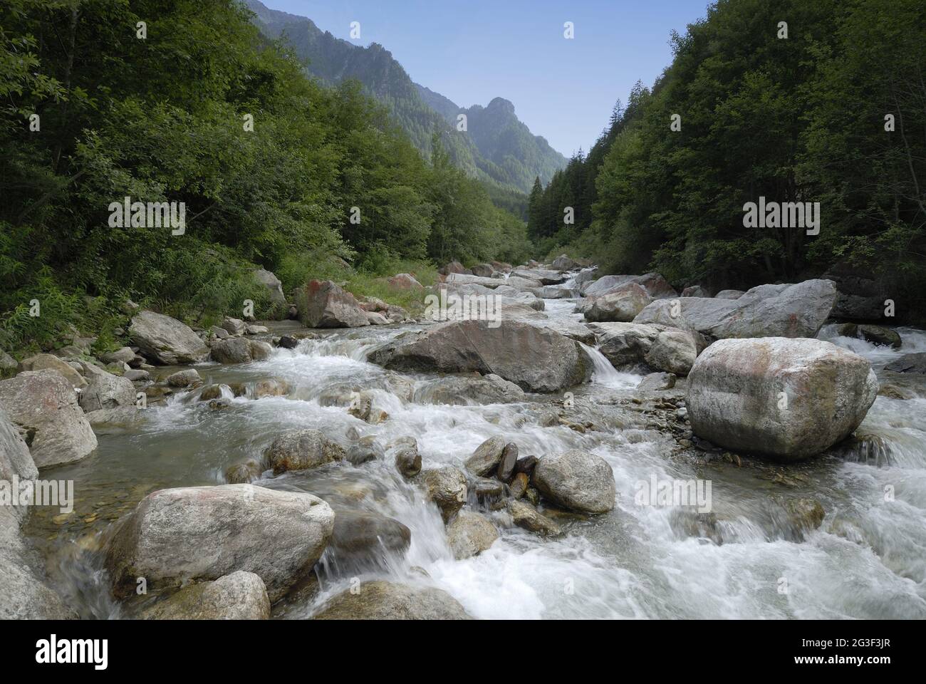 Mountain Stream Stockfoto