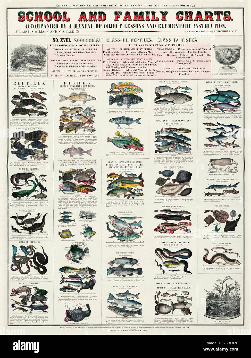 Karten für Schule und Familie. Zoologische Klasse III, Reptilien. Fische der Klasse IV. Vintage-Poster. Stockfoto