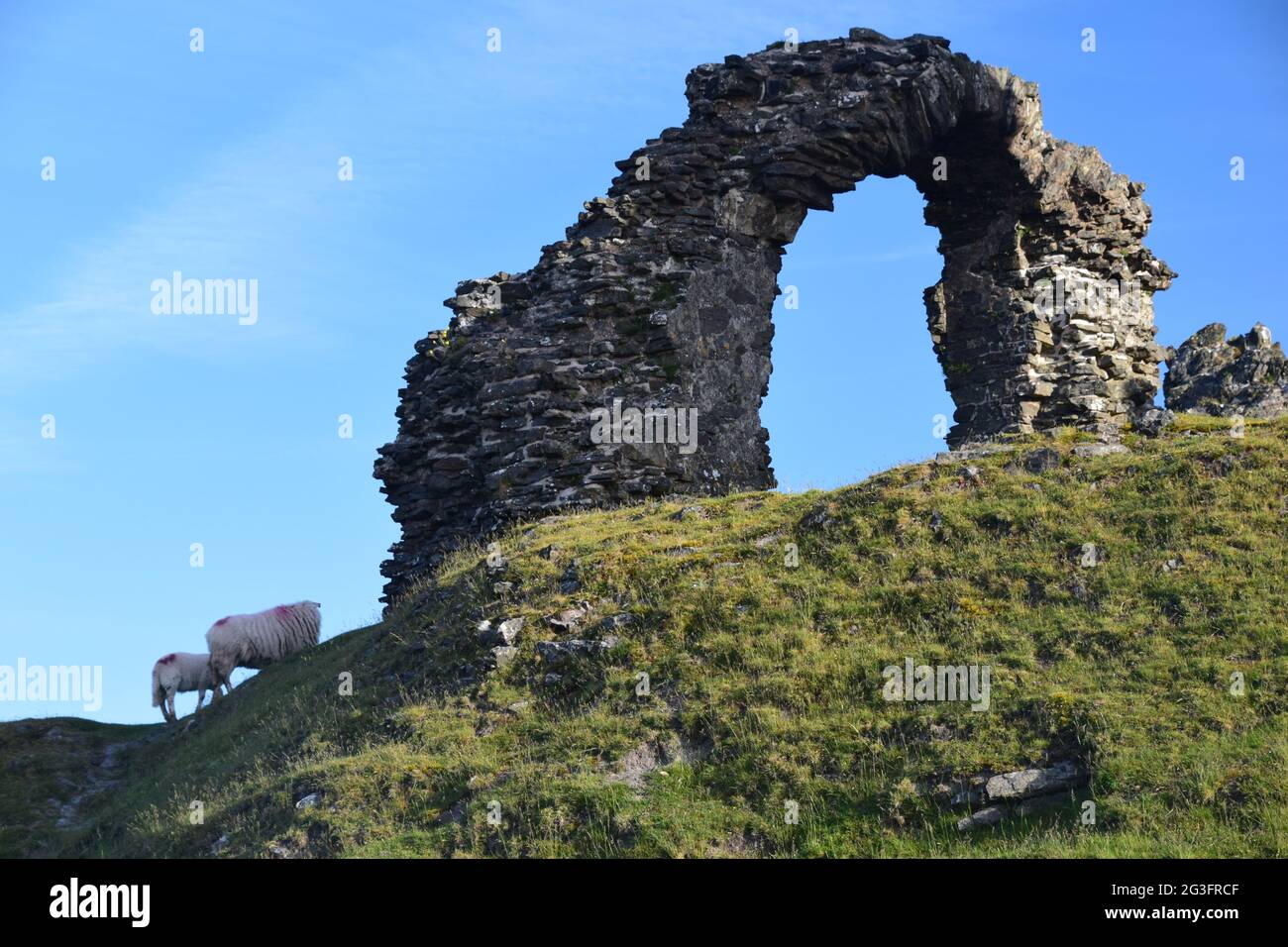 Castell Dinas Bran um 1260, auf dem Gelände eines bronzezeitalterlichen Hügels mit Blick auf den Llangollen mit Blick auf die Berwyn und die Clydian Ranges im Sommer. Stockfoto