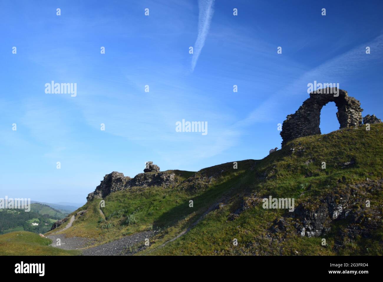 Castell Dinas Bran um 1260, auf dem Gelände eines bronzezeitalterlichen Hügels mit Blick auf den Llangollen mit Blick auf die Berwyn und die Clydian Ranges im Sommer. Stockfoto