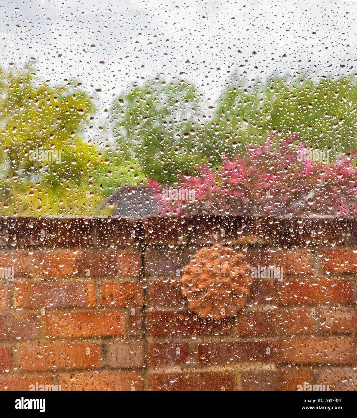 Regentropfen am Fenster. Stockfoto