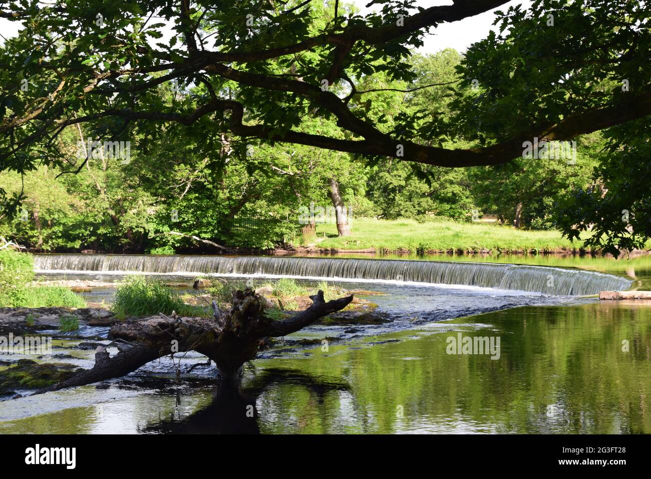 Sommerszene auf dem Fluss Dee Denbighshire Wales mit den Horseshoe-Wasserfällen, die von Thomas Telford entworfen und gebaut wurden, um den Llangollen-Kanal mit Wasser zu versorgen. Stockfoto