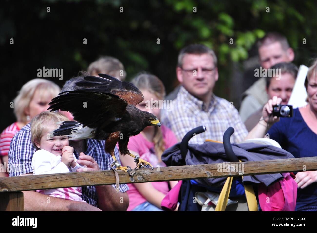 Hawk und Kind Stockfoto