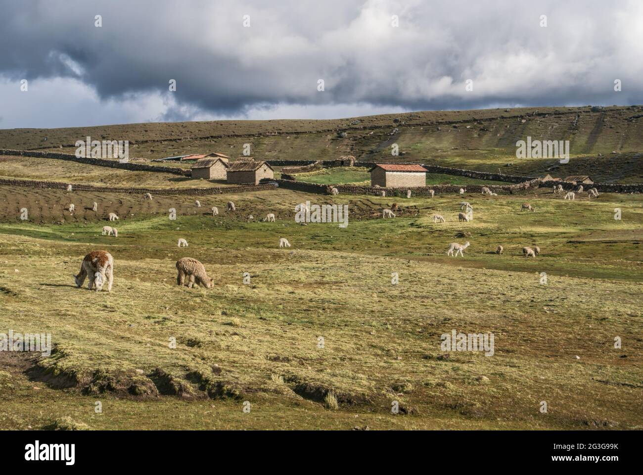 Ausangate, Peru Stockfoto