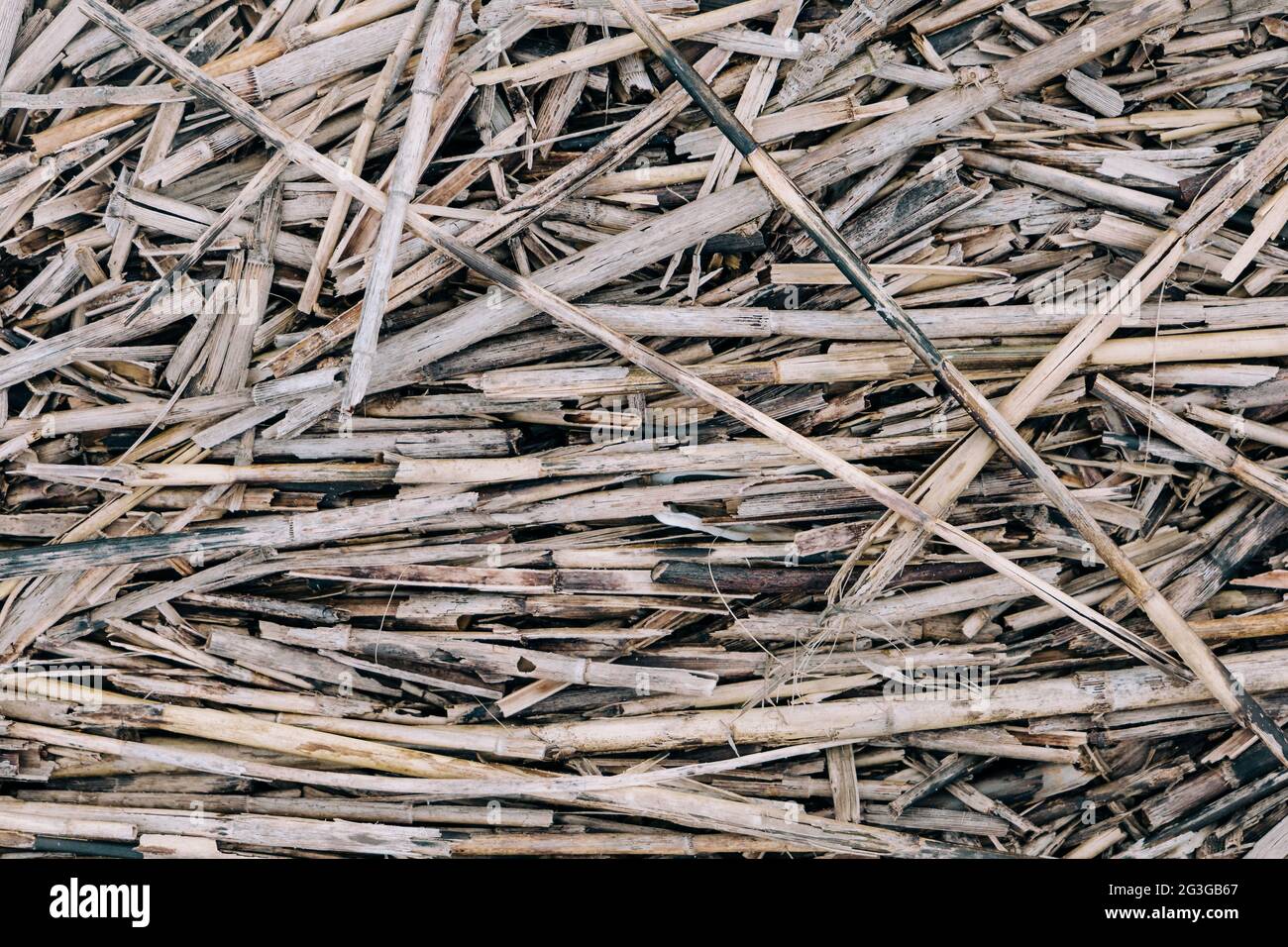 Eine Nahaufnahme von kleinen Stücken von Treibholzstäben aus Holz, die auf dem Boden geritzt sind Stockfoto