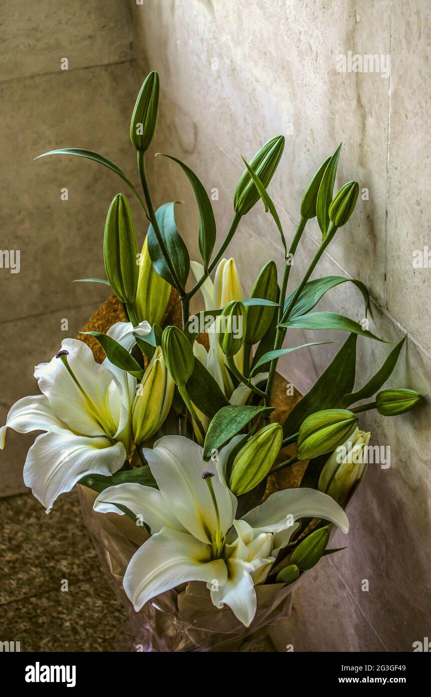 Schöne große weiße Lilien in einem Bouquet in grobem Papier in einer Glasvase in der Nähe einer Steinmauer in einer Loggia eingewickelt Stockfoto