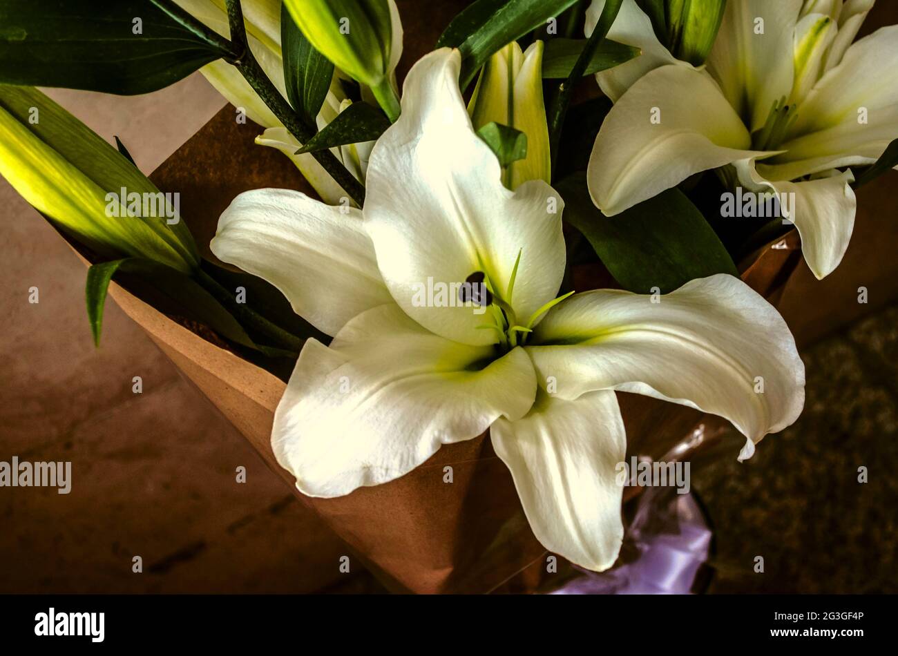 Eine riesige weiße Lilie in einem Bouquet mit großen Knospen, eingewickelt in raues Papier in einer Glasvase auf einem Keramikboden Stockfoto