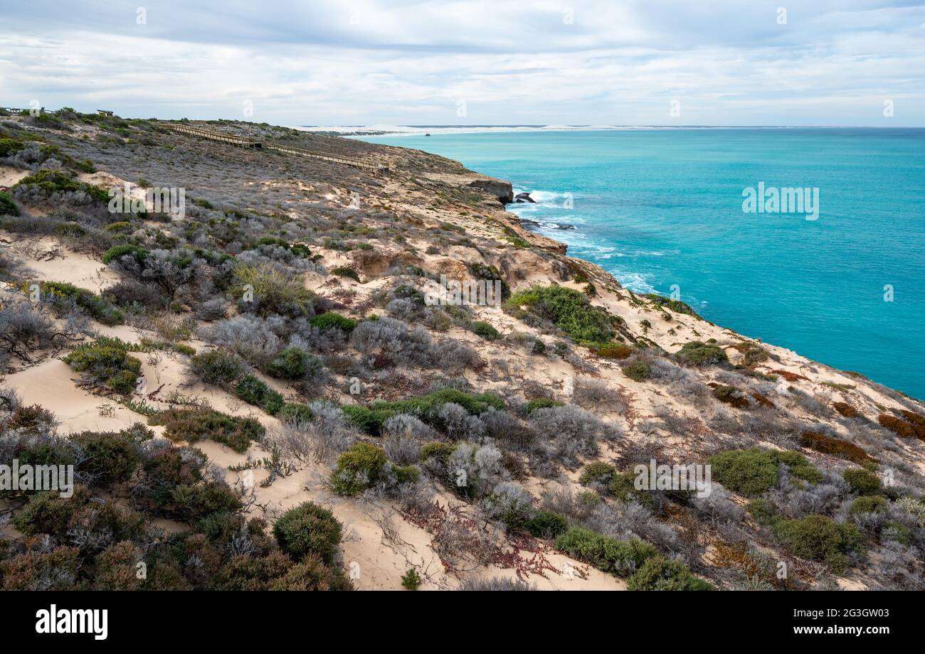 Vielfältige Flora auf sandigen Böden am Head of Bight in der australischen Nullarbor Plain. Der Standort ist als Brutplatz für südliche Rechtswale bekannt Stockfoto